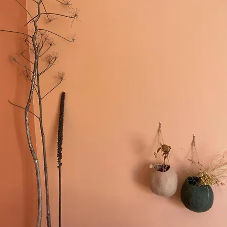 Les Petites Maisons * Sotta
