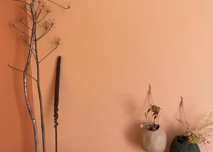 Les Petites Maisons 4* Sotta