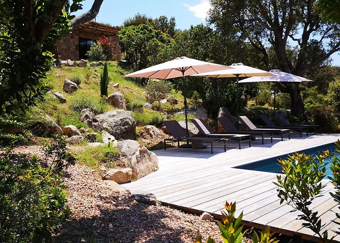 Les Petites Maisons סוטה